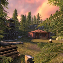 ttt_forest_final thumbnail